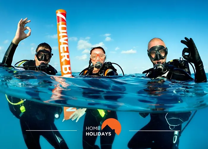 #169 T3 Medronheira By Holidays Appartamento